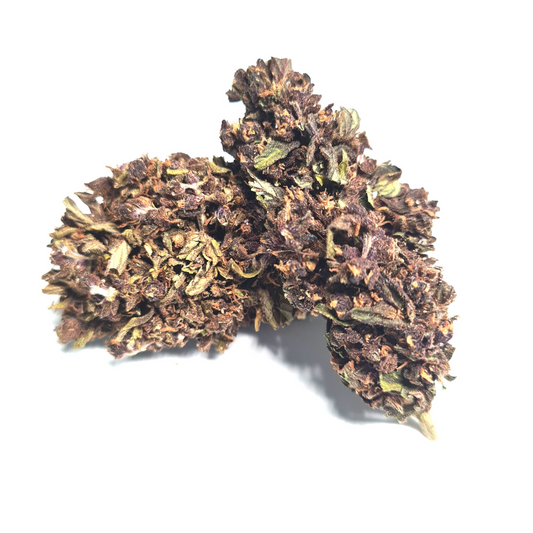 Purple Haze CBD cannabis italia