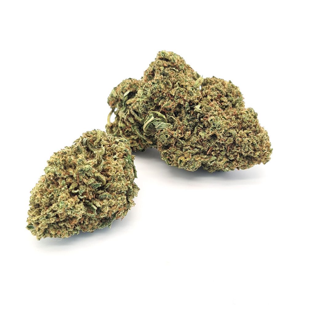 cannabis sativa cbd