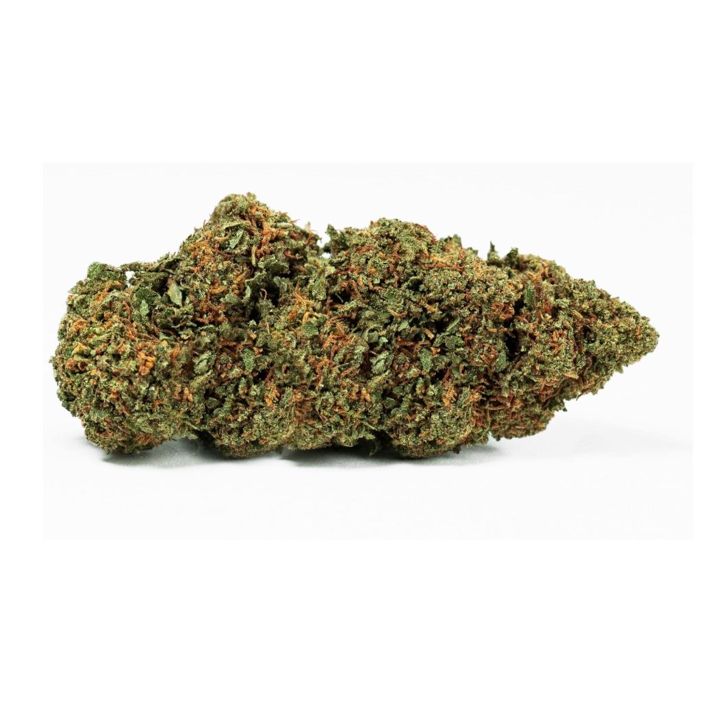 erba legale indian kush cbd canapa montana