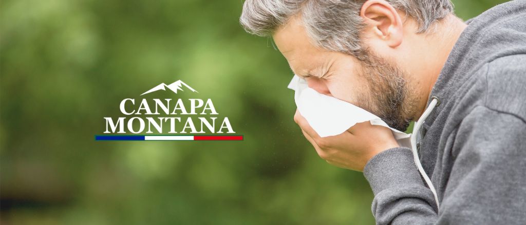 CBD et Allergies