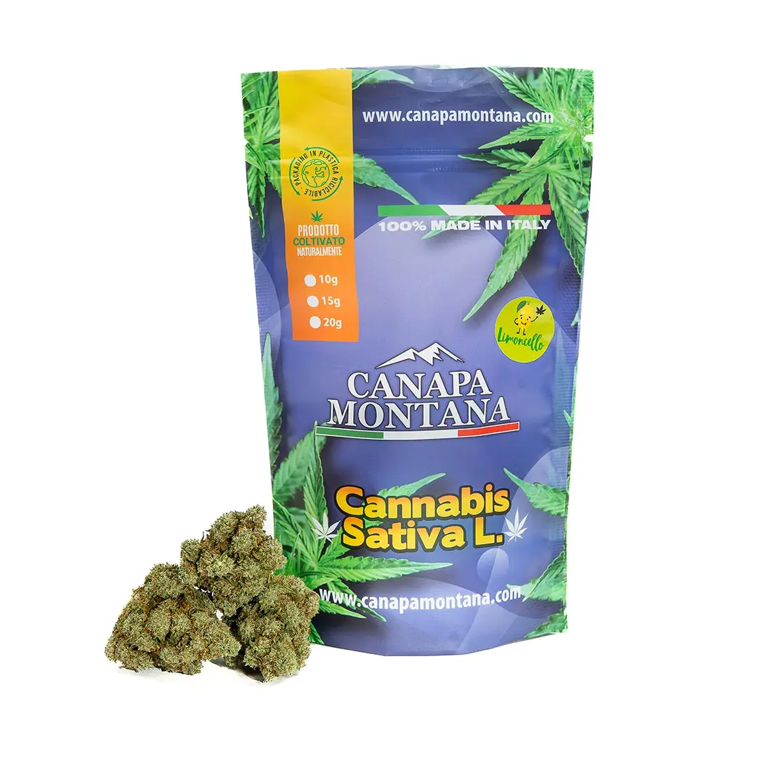 cannabis-legale-limoncello-indoor-cbd Cannabis legale limoncello indoor cbd