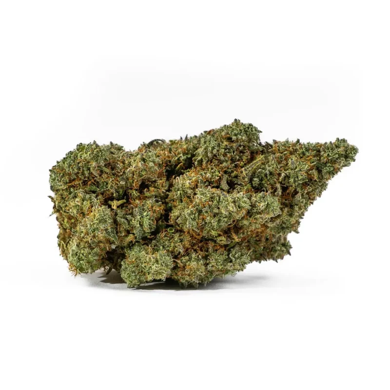 Erba legale limoncello indoor cbd