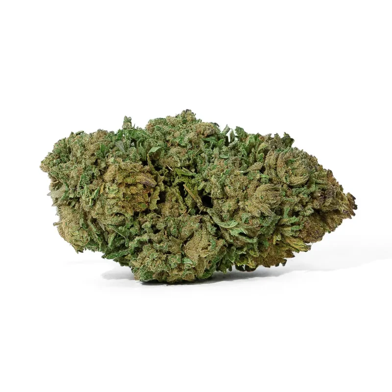 Bubba Kush cannabis cbd de Canapa Montana