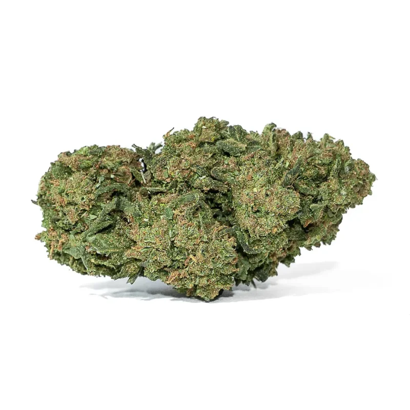 Gorilla fleur de cbd de Canapa Montana