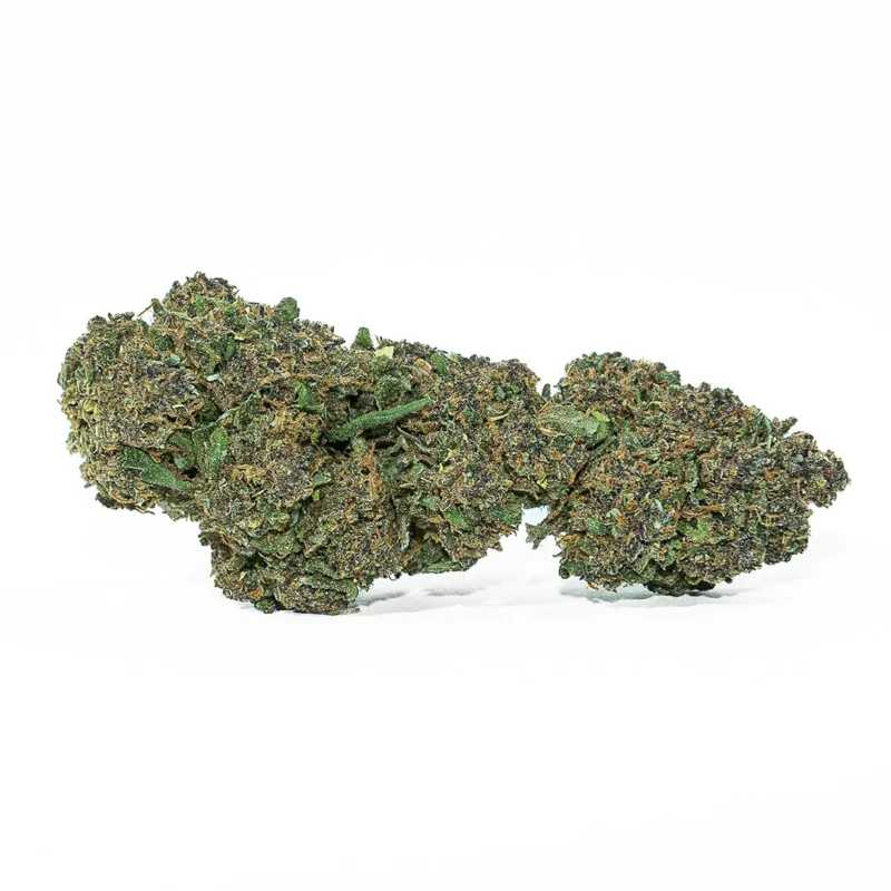 Purple Crack fleur de CBD 