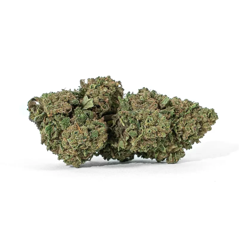 San Fernando de Canapa Montana fleur de CBD