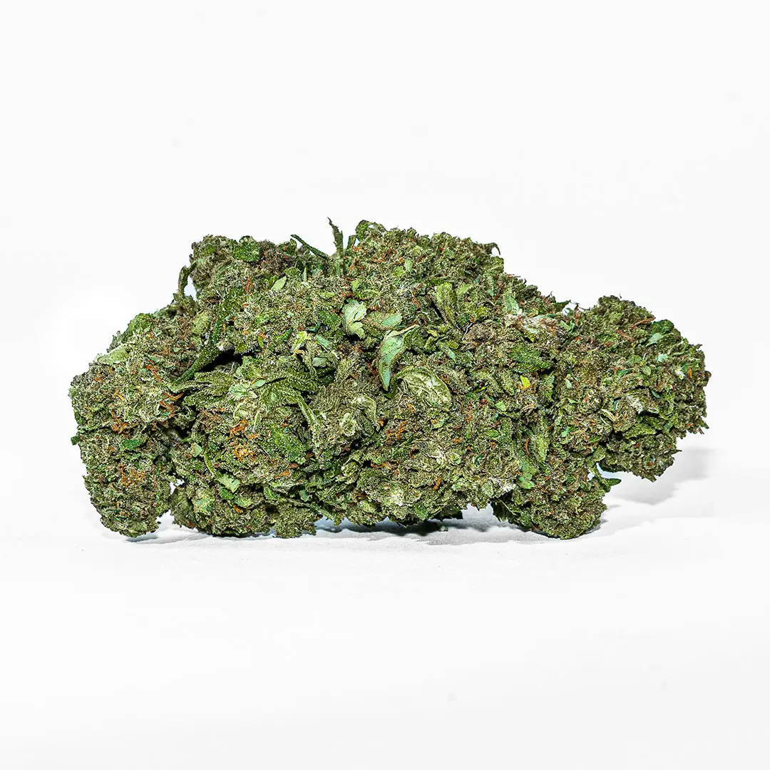 white-widow-cannabis-legale White Widow Outdoor CBD de Canapa Montana