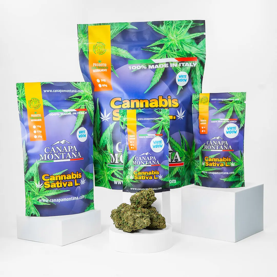 white-widow-cbd-canapa-legale White Widow Outdoor herbe légale de Canapa Montana