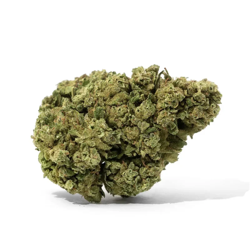 Golden Pussy Greenhouse