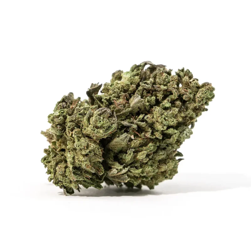 Snow Bud fleurs de CBD france