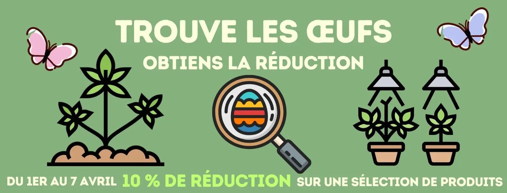 Nuova home Canapamontana FRA