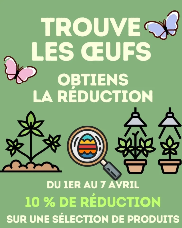 Nuova home Canapamontana FRA