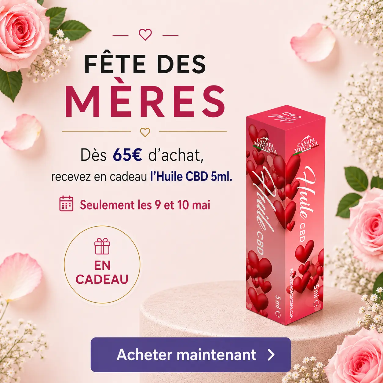 Nuova home Canapamontana FRA
