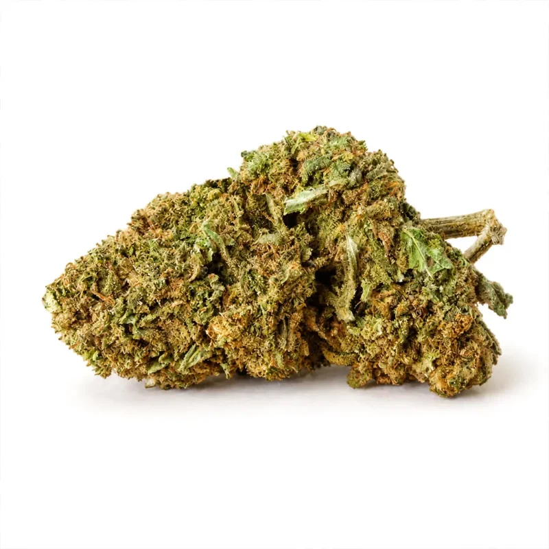 Gorilla cannabis legale